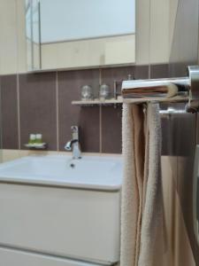 明德卢Pombas Brancas Hotel的一间带水槽和毛巾的浴室