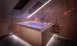 克拉科夫Exclusive BDSM Apartment Kraków - ADULTS ONLY的大型浴室设有浴缸和灯光