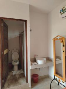 锡瓦塔塔内霍BM Zihua Casa de Huéspedes的一间带卫生间、水槽和镜子的浴室