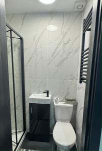 普拉姆斯特德P Williams Plumstead的浴室配有白色卫生间和盥洗盆。