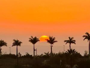 阿德耶Tenerife Holidays的一片橘色的日落,在前方种有棕榈树