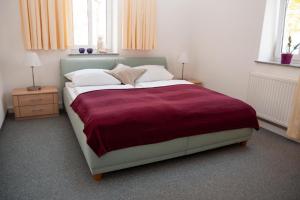 德累斯顿Moderne Ferienwohnung in zentraler aber ruhiger Lage, in der Nähe des Szeneviertels Dresden-Neustadt的一间卧室配有一张大床和紫色毯子