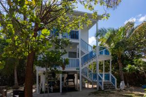 Tulixx Cayman Villa的白色的房子,有蓝色的楼梯和树木