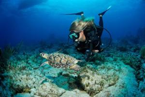 Tulixx Cayman Villa的拍海龟照片的人