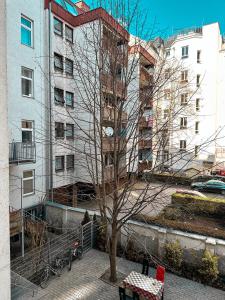 维也纳W Apartment - Brigittenau Area MM10的一座高楼前的树