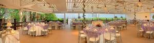 棕榈滩海岸The Singer Oceanfront Resort, Curio Collection by Hilton的一间设有桌椅和紫色的房间