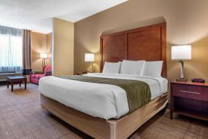 Amite阿米特康福特茵酒店的酒店客房设有一张大床和一张沙发。