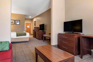 Amite阿米特康福特茵酒店的配有一张床和一台平面电视的酒店客房