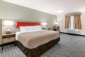 莱巴嫩戴斯旅馆的大型酒店客房设有一张大床和一个窗户。
