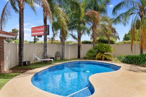 沃东加Econo Lodge Border Gateway Wodonga的一个带围栏和棕榈树的庭院内的游泳池
