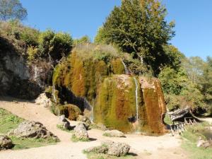 NiedereheFerienwohnung für 4 Personen ca 80 qm in Niederehe, Rheinland-Pfalz Naturpark Vulkaneifel的公园里的一个瀑布,有岩石和树木