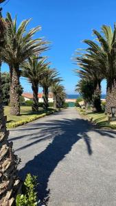 加亚新城Grande propriedade exclusiva na praia 10' do Porto - Casa das Marinhas的一条棕榈树环绕的道路