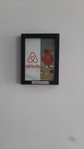 马尼萨莱斯Suite con hamaca y baño privado.的墙上的红鸟照片