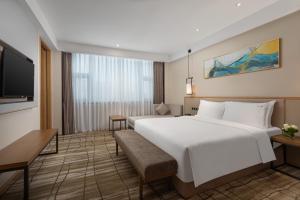 成都成都机场假日酒店的酒店客房设有一张大床和一台电视。