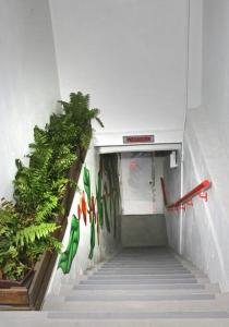 尧科Casa Aroma Di Caffee的走廊上设有楼梯,墙上挂着植物