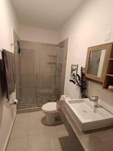 马萨特兰Dpto. coto privado con alberca的带淋浴、卫生间和盥洗盆的浴室