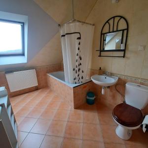 斯雷布纳古拉Noclegi Srebrna Góra的带浴缸、卫生间和盥洗盆的浴室