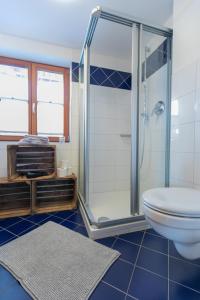 WackersbergZum Hecher Klausi的带淋浴和卫生间的浴室