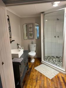 布隆方丹Oudam Overnight Accomodation的带淋浴、卫生间和盥洗盆的浴室