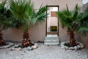 Umm al ‘AmadElegant Garden & 2Living Areas, 2 Bed Rooms for 6 Guests的一座庭院,在一座建筑前方有两棵棕榈树