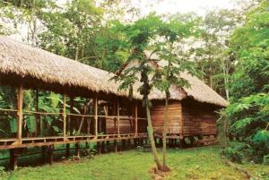 TambopataInotawa Lodge的相册照片