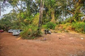 GoaBaga Treasures的一条土路,有停车的汽车和树木