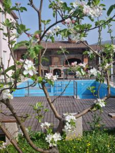 莫斯塔尔Hacienda Kolenda的池前有白色花的树