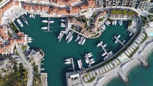 西斯蒂亚纳Tivoli Portopiccolo Sistiana Wellness Resort & Spa的享有码头的空中景色,在水中划船