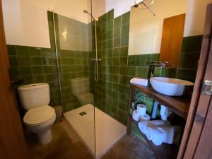 卡斯特罗·德波利亚斯Yeguada Senillosa - Turismo Rural的浴室配有卫生间、盥洗盆和淋浴。