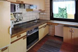 滕嫩布罗恩Tennenbronn Holiday Park Tennenbronn的一间带水槽和炉灶的小厨房