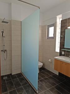 罗希姆诺Marel Apartments的带淋浴、盥洗盆和卫生间的浴室
