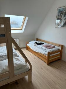 Clohars-FouesnantMaison chaleureuse, décoration raffinée的一间卧室设有两张双层床,床上放着一只猫。