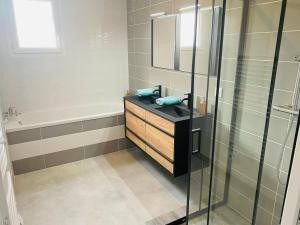 罗莫朗坦Maison 10 couchages的一间带水槽、浴缸和镜子的浴室