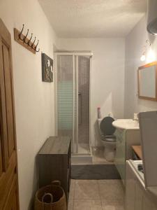 皮亚纳Ravissant appartement au cœur de Piana的带淋浴和卫生间的小浴室