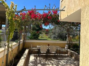波多河丽Deppys Apartment Porto Heli的庭院配有桌椅和鲜花