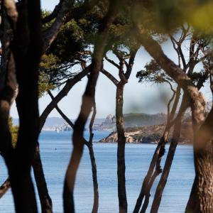 耶尔Le Domaine de la mer - Beach hotel Nature&Authenticité Hyères的透过水的树木