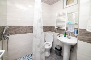 泰拉维卡福卡斯欧尼33号旅馆的一间带卫生间和水槽的浴室