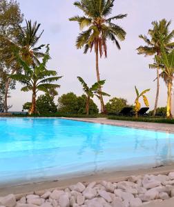 吉汶瓦LIONS VILLA ZANZIBAR - Cook Service & Infinity Pool - ON THE SEASIDE的一座棕榈树环绕的游泳池