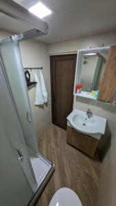 第比利斯Ze Oni Glamping的一间带水槽、卫生间和镜子的浴室