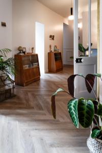 沃勒莱罗斯Maison Grand Sable的客厅铺有木地板,配有植物