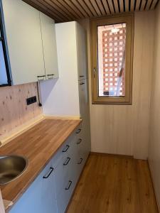 山麓布伦Tiny House Brunn am Gebirge的厨房配有白色橱柜、水槽和窗户。