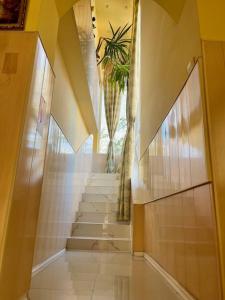 GiurgiuPensiune Perla Dunarii的植物建筑中带楼梯的走廊