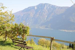 特雷莫西内Villetta 56 Blu Yellow and Red Lake view Garden Private Parking by Garda Domus Mea的坐在山丘上的长凳,俯瞰湖泊