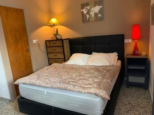 Bera6 Herriko Etxea Plaza的一间卧室配有一张大床和黑色床头板