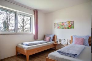 巴特瓦尔德塞Ferienhaus Steinenberg的一间卧室设有两张单人床和一个窗户。