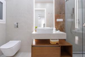 雅典Magnificent Riviera Residence的一间带水槽、卫生间和淋浴的浴室