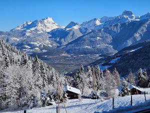 TroistorrentsSweet & Cosy Chalet in the heart of the Swiss Alps的雪覆盖的山脉,前方设有小屋