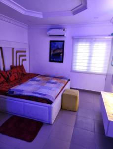拉各斯Kings Lux Home的一间卧室设有一张大床和一个窗户。
