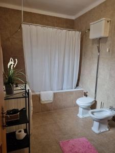 SobralQuinta Da Mata的一间带卫生间和淋浴帘的浴室