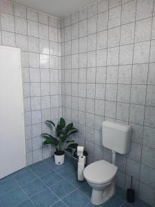豪伊杜索博斯洛Szaffi apartman的一间带卫生间和盆栽的浴室
